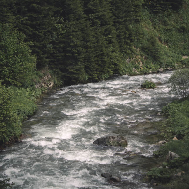 Nature Sounds for Sleep